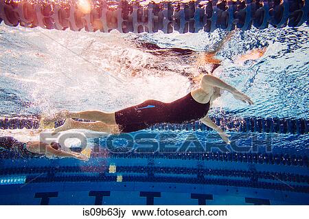 Swimmers in pool View Large Photo Image Stock Photo - Swimmers in pool. Fotosearch