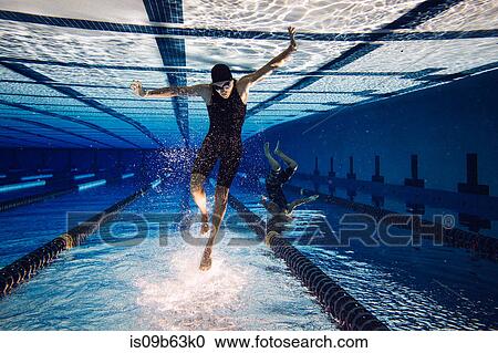 Swimmers underwater in pool View Large Photo Image Stock Image - Swimmers underwater in pool. Fotosearch
