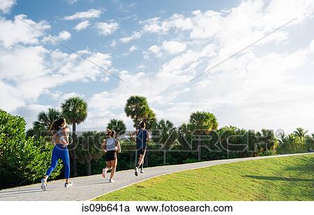 Three friends, running together outdoors, rear view, South Point Park, Miami Beach, Florida, USA View Large Photo Image Stock Image - Three friends, running together outdoors, rear view, South Point Park, Miami Beach, Florida, USA. Fotosearch
