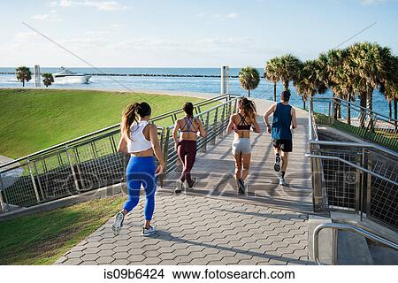 Three women running with personal trainer, rear view, South Point Park, Miami Beach, Florida, USA View Large Photo Image Picture - Three women running with personal trainer, rear view, South Point Park, Miami Beach, Florida, USA. Fotosearch