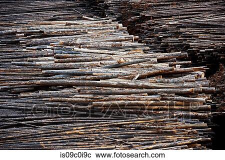 Timber yard, Midway, Canada View Large Photo Image Stock Image - Timber yard, Midway, Canada. Fotosearch