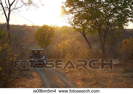 Tourists on land cruise, Victoria Falls, Zimbabwe View Large Photo Image Picture - Tourists on land cruise, Victoria Falls, Zimbabwe. Fotosearch