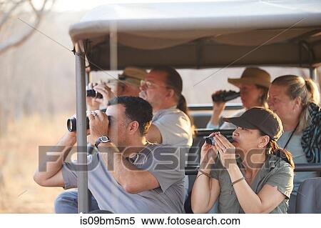Tourists on safari tour, Victoria Falls, Zimbabwe View Large Photo Image Stock Photography - Tourists on safari tour, Victoria Falls, Zimbabwe. Fotosearch