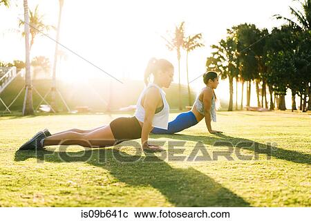 Two young women exercising outdoors, stretching, South Point Park, Miami Beach, Florida, USA View Large Photo Image Stock Image - Two young women exercising outdoors, stretching, South Point Park, Miami Beach, Florida, USA. Fotosearch