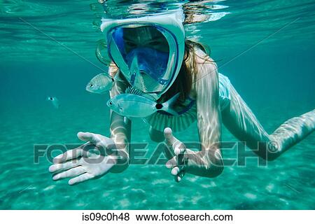 Underwater view of girl snorkelling, looking at fish, Limnos, Khios, Greece View Large Photo Image Stock Photo - Underwater view of girl snorkelling, looking at fish, Limnos, Khios, Greece. Fotosearch
