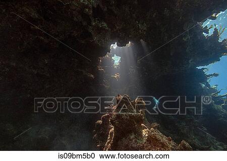 Underwater view of grotto in Anegada, British Virgin Islands View Large Photo Image Stock Image - Underwater view of grotto in Anegada, British Virgin Islands. Fotosearch