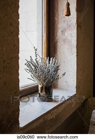 Stock Image - Vase of herbs on window sill. Fotosearch