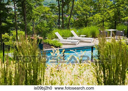 View through plants of sun loungers by outdoor swimming pool in residential backyard View Large Photo Image Stock Image - View through plants of sun loungers by outdoor swimming pool in residential backyard. Fotosearch