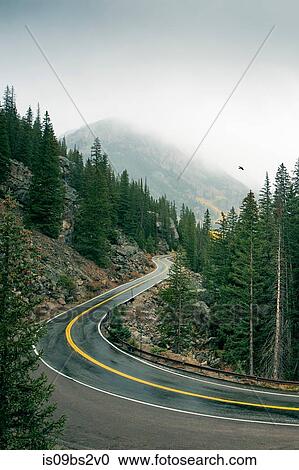 Stock Image - Winding road through forest, Aspen, Colorado, USA. Fotosearch