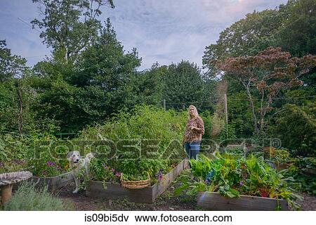 Stock Photo - Woman and dog in garden. Fotosearch