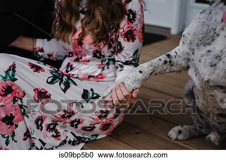 Woman and her dog sitting on porch View Large Photo Image Stock Image - Woman and her dog sitting on porch. Fotosearch