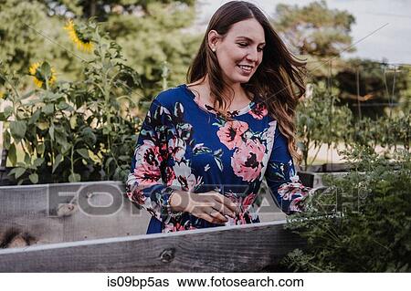 Woman checking on her plants View Large Photo Image Stock Photograph - Woman checking on her plants. Fotosearch