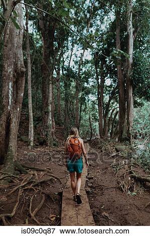 Woman enjoying walk in rainforest, Princeville, Hawaii, US View Large Photo Image Stock Photo - Woman enjoying walk in rainforest, Princeville, Hawaii, US. Fotosearch