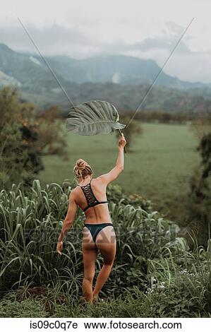 Woman in bikini holding large leaf, Princeville, Hawaii, US View Large Photo Image Stock Image - Woman in bikini holding large leaf, Princeville, Hawaii, US. Fotosearch