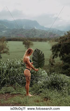 Woman in bikini holding large leaf, Princeville, Hawaii, US View Large Photo Image Stock Image - Woman in bikini holding large leaf, Princeville, Hawaii, US. Fotosearch