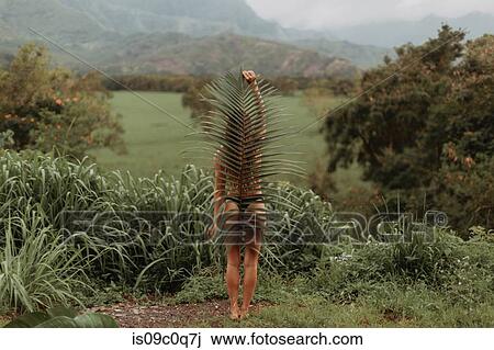 Woman in bikini holding large leaf, Princeville, Hawaii, US View Large Photo Image Stock Image - Woman in bikini holding large leaf, Princeville, Hawaii, US. Fotosearch