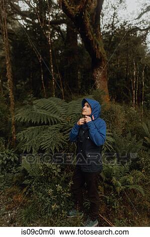 Woman in forest, Queenstown, Canterbury, New Zealand View Large Photo Image Stock Image - Woman in forest, Queenstown, Canterbury, New Zealand. Fotosearch