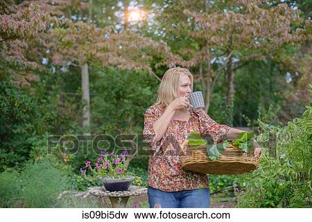Woman in garden drinking from cup View Large Photo Image Stock Photo - Woman in garden drinking from cup. Fotosearch