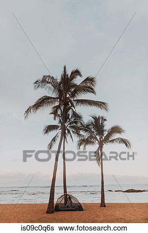 Woman in tent on sandy beach, Princeville, Hawaii, US View Large Photo Image Stock Photograph - Woman in tent on sandy beach, Princeville, Hawaii, US. Fotosearch