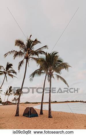 Stock Photograph - Woman in tent on sandy beach, Princeville, Hawaii, US. Fotosearch