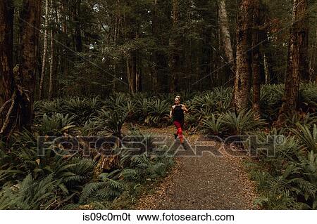Stock Photograph - Woman jogging in forest, Queenstown, Canterbury, New Zealand. Fotosearch
