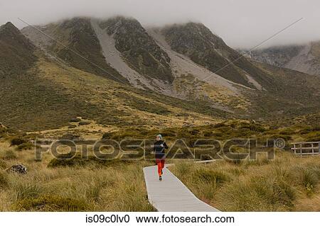 Stock Image - Woman jogging on trail path, Wanaka, Taranaki, New Zealand. Fotosearch