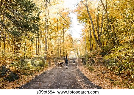 Woman jogging with dogs in forest View Large Photo Image Picture - Woman jogging with dogs in forest. Fotosearch