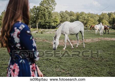 Woman looking at horses View Large Photo Image Stock Photograph - Woman looking at horses. Fotosearch