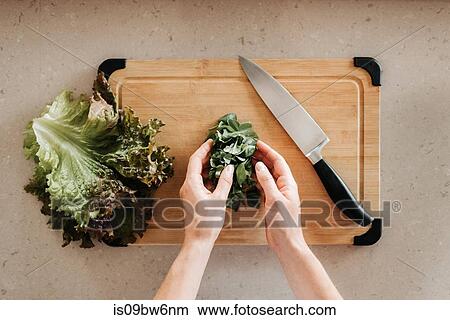 Woman preparing salad on cutting board View Large Photo Image Picture - Woman preparing salad on cutting board. Fotosearch