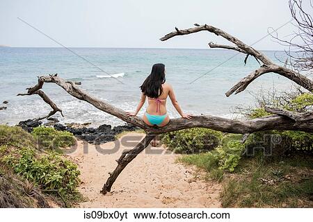Woman sitting on log on beach, Makena Beach, Maui, Hawaii View Large Photo Image Stock Photograph - Woman sitting on log on beach, Makena Beach, Maui, Hawaii. Fotosearch