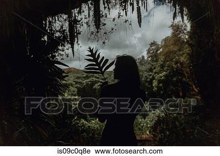 Woman under mouth of cave in rainforest, Princeville, Hawaii, US View Large Photo Image Stock Image - Woman under mouth of cave in rainforest, Princeville, Hawaii, US. Fotosearch