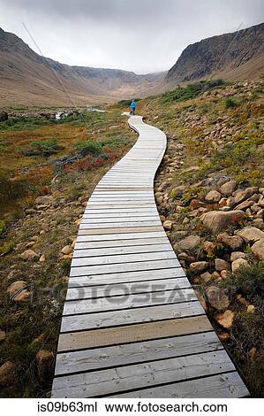 Woman walking dog along valley boardwalk, Gros Morne National Park, Newfoundland, Canada View Large Photo Image Stock Image - Woman walking dog along valley boardwalk, Gros Morne National Park, Newfoundland, Canada. Fotosearch