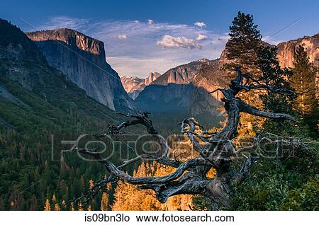 Picture - Yosemite National Park, California, USA. Fotosearch