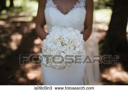 Young bride holding bouquet of white flowers in woodland, mid section View Large Photo Image Stock Image - Young bride holding bouquet of white flowers in woodland, mid section. Fotosearch
