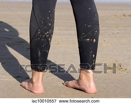 Young female runner taking a break on sandy beach, cropped rear view of legs and bare feet View Large Photo Image Stock Photo - Young female runner taking a break on sandy beach, cropped rear view of legs and bare feet. Fotosearch