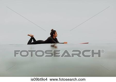 Young female surfer lying on surfboard in calm misty sea, Ventura, California, USA View Large Photo Image Picture - Young female surfer lying on surfboard in calm misty sea, Ventura, California, USA. Fotosearch