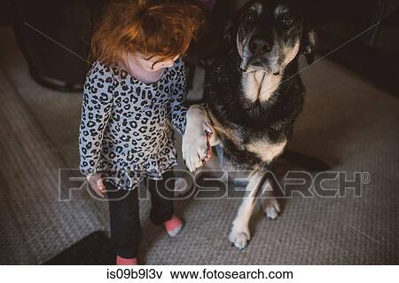 Young girl standing beside pet dog, holding dog's paw View Large Photo Image Stock Photo - Young girl standing beside pet dog, holding dog's paw. Fotosearch