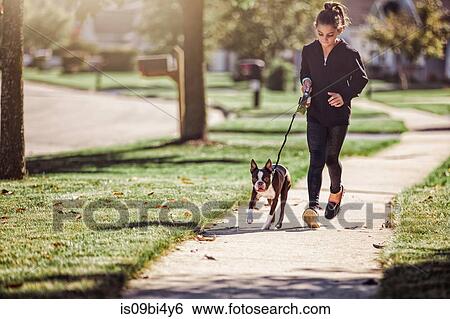 Young girl, walking dog along pathway View Large Photo Image Stock Photograph - Young girl, walking dog along pathway. Fotosearch