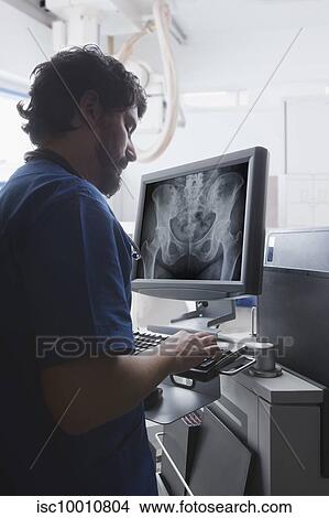 Picture - Young male radiographer using computer keyboard to view pelvis X-ray in radiology department. Fotosearch