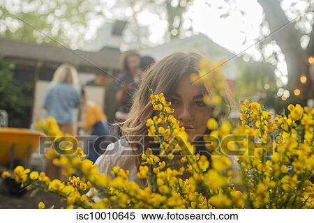 Young woman hiding behind yellow blossom at community garden party, head and shoulder portrait View Large Photo Image Stock Photography - Young woman hiding behind yellow blossom at community garden party, head and shoulder portrait. Fotosearch
