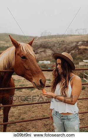 Young woman in felt hat feeding carrot to horse, Jalama, California, USA View Large Photo Image Stock Image - Young woman in felt hat feeding carrot to horse, Jalama, California, USA. Fotosearch