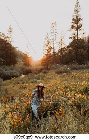 Young woman in maxi dress and stetson walking through wildflowers at sunset in rural valley, Mineral King, California, USA View Large Photo Image Stock Photo - Young woman in maxi dress and stetson walking through wildflowers at sunset in rural valley, Mineral King, California, USA. Fotosearch