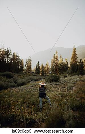 Stock Image - Young woman in stetson looking out over rural valley, rear view, Mineral King, California, USA. Fotosearch