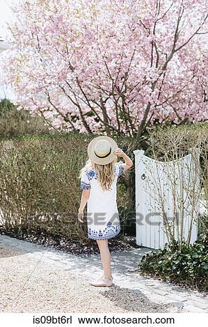 Young woman in straw boater in front of pink tree blossom, rear view, Menemsha, Martha's Vineyard, Massachusetts, USA View Large Photo Image Stock Image - Young woman in straw boater in front of pink tree blossom, rear view, Menemsha, Martha's Vineyard, Massachusetts, USA. Fotosearch