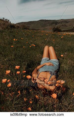 Young woman lying in field of wildflowers, Jalama, California, USA View Large Photo Image Stock Photography - Young woman lying in field of wildflowers, Jalama, California, USA. Fotosearch