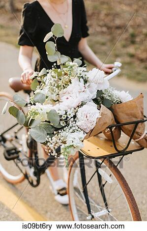 Young woman pushing bicycle with bunch of flowers on rural road, neck down, Menemsha, Martha's Vineyard, Massachusetts, USA View Large Photo Image Stock Photo - Young woman pushing bicycle with bunch of flowers on rural road, neck down, Menemsha, Martha's Vineyard, Massachusetts, USA. Fotosearch