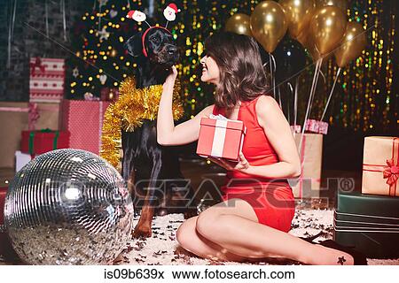 Young woman stroking dog at party, dog wearing santa deely boppers View Large Photo Image Stock Photo - Young woman stroking dog at party, dog wearing santa deely boppers. Fotosearch