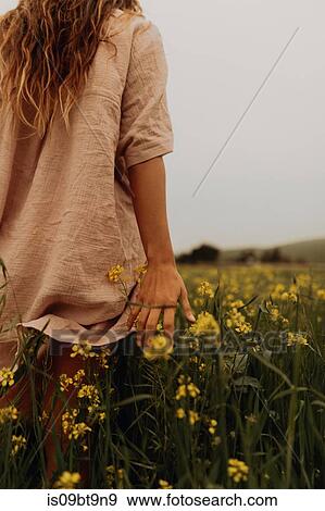 Young woman walking in yellow wildflower field, rear view, Jalama, California, USA View Large Photo Image Stock Photo - Young woman walking in yellow wildflower field, rear view, Jalama, California, USA. Fotosearch