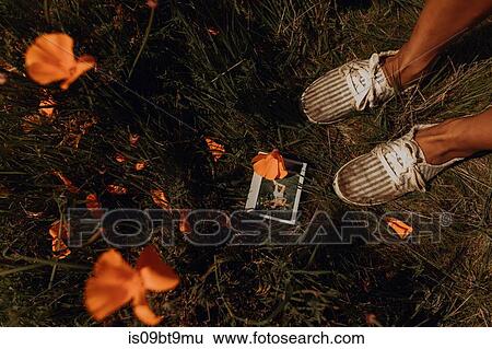 Young woman's feet by instant photo wildflower field, detail, Jalama, California, USA View Large Photo Image Stock Photograph - Young woman's feet by instant photo wildflower field, detail, Jalama, California, USA. Fotosearch
