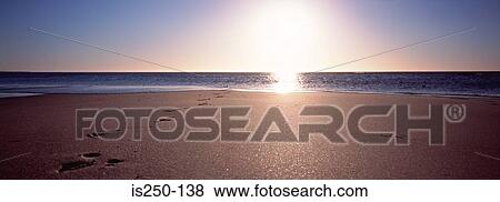 Stock Photo - Sandy beach at sunrise. Fotosearch